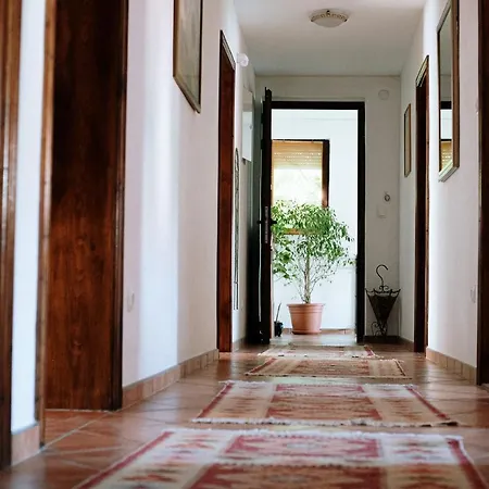 Apartment Ikar